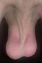 bimbam, foto 1169x1732, 2 reacties, 7 stemmen