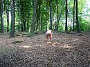 bloot in het bos, foto 2184x1638, 9 reacties, 49 stemmen