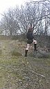 buiten, foto 2250x4000, 2 reacties, 12 stemmen