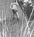 buitenshoot, foto 1944x2139, 13 reacties, 74 stemmen
