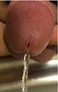 close up eikel plasje, foto 1432x2248, 6 reacties, 11 stemmen