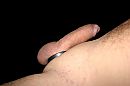 closeup, foto 3072x2048, 5 reacties, 22 stemmen
