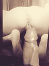 dames... zin in?, foto 1944x2592, 1 reacties, 4 stemmen