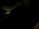 dat komt ervan...., film 00:00:00, 9 reacties, 40 stemmen