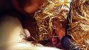 deepthroat, net..., foto 1024x576, 3 reacties, 7 stemmen