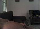 denkend aan jou, foto 640x480, 3 reacties, 2 stemmen