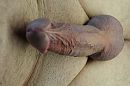 deze wil ook wel !, foto 4000x2661, 0 reacties, 3 stemmen