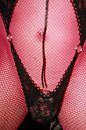dressed to impress, foto 2592x3888, 0 reacties, 1 stemmen