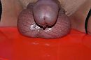 drup drup, foto 3872x2592, 0 reacties, 0 stemmen