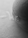 drup, foto 1697x2231, 1 reacties, 11 stemmen