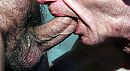 een behaarde pik, foto 4000x2203, 1 reacties, 7 stemmen
