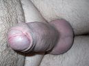 eikel, foto 2048x1536, 1 reacties, 5 stemmen