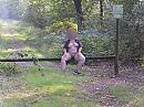 en weer wat foto's in ......., foto 2592x1944, 1 reacties, 28 stemmen