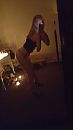 foto, foto 747x1328, 21 reacties, 198 stemmen