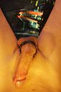 gebonden, foto 2592x3888, 1 reacties, 2 stemmen