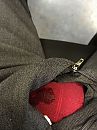 geil in m'n broek, foto 3000x4000, 1 reacties, 1 stemmen