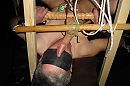 geil of niet???, foto 800x533, 1 reacties, 8 stemmen