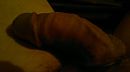 geil, foto 3264x1832, 0 reacties, 0 stemmen