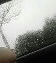 geile raindrops, foto 965x1069, 3 reacties, 12 stemmen