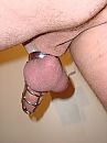 gekooid, foto 2304x3072, 4 reacties, 7 stemmen