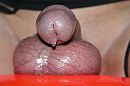 goed strak, foto 3872x2592, 0 reacties, 1 stemmen