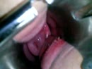 gyno visit, film 00:00:00, 4 reacties, 19 stemmen