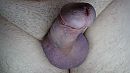 hard, foto 3984x2240, 0 reacties, 0 stemmen