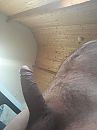 hmm weer lekker hard, foto 1536x2048, 0 reacties, 1 stemmen
