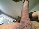 horny, foto 2576x1932, 3 reacties, 11 stemmen