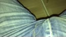 ik was geil, film 00:00:21, 5 reacties, 14 stemmen