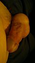 ik ga door, foto 1832x3264, 0 reacties, 0 stemmen