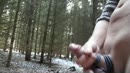 in het bos, film 00:00:00, 32 reacties, 91 stemmen