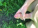 in de bosjes, foto 4000x3000, 0 reacties, 14 stemmen