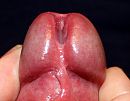 inkijkje, foto 1183x929, 3 reacties, 8 stemmen