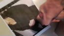 josjesigon, film 00:00:00, 5 reacties, 17 stemmen