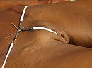 kleine string?, foto 640x480, 4 reacties, 24 stemmen