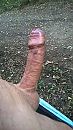 laatste stuiptrekking vd zomer, foto 720x1280, 3 reacties, 9 stemmen