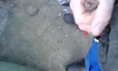 lekker buiten, film 00:00:09, 4 reacties, 14 stemmen