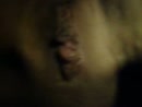 lekker nat, film 00:00:20, 4 reacties, 34 stemmen