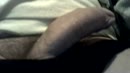 lekker sperma, film 00:00:00, 4 reacties, 12 stemmen