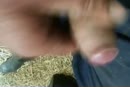 lekker trekken in mijn overall, film 00:00:00, 38 reacties, 125 stemmen