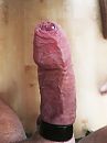 lekker strak, foto 3000x4000, 1 reacties, 7 stemmen