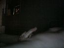 lekker, foto 640x480, 0 reacties, 0 stemmen