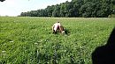 lenzen kwijt, can happen..., foto 4000x2256, 7 reacties, 14 stemmen