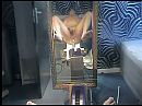 machine 1, foto 640x480, 0 reacties, 15 stemmen