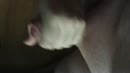 magische handjes, film 00:00:28, 13 reacties, 61 stemmen