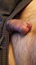 mijn penis, foto 900x1600, 20 reacties, 40 stemmen