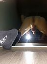 mike.cam@live.nl, foto 2965x4000, 1 reacties, 6 stemmen