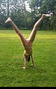 mmm bevalt wel ...., foto 2531x4000, 4 reacties, 52 stemmen