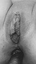 mmmm, foto 750x1334, 78 reacties, 365 stemmen